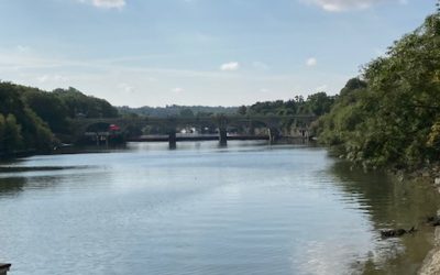 A nudge To Take Uncomfortable Feelings Less Seriously