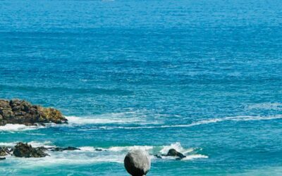 A nudge About Seeing Something New