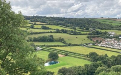 A nudge About the Powerful Nature of Thought